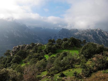 CUETO AGERO, FONTANILLA Y CUEVA CILOÑA