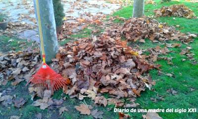 colores ocres rastrillar autumn leaves