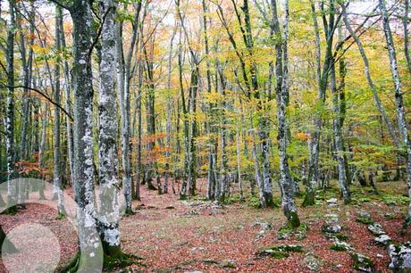 monumento natural monte santiago 7