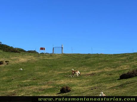 Ruta de los Arrudos y Corteguerón: Collado del Acebal