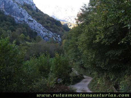 Ruta de los Arrudos y Corteguerón: Llegando al camino de los Arrudos