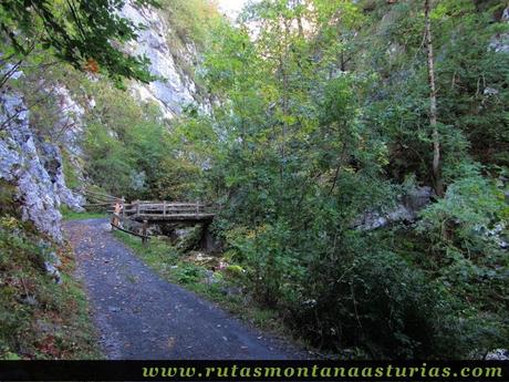 Ruta de los Arrudos y Corteguerón: Puente sobre el arroyo