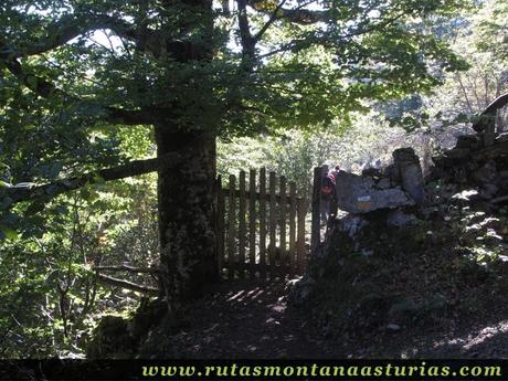 Ruta de los Arrudos y Corteguerón: Portilla en el camino