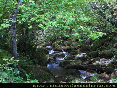 Ruta de los Arrudos y Corteguerón: Río