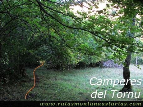 Ruta de los Arrudos y Corteguerón: Camperes del Tornu