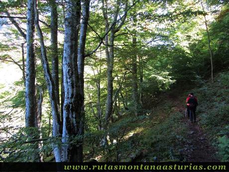 Ruta de los Arrudos y Corteguerón: Sendero entre bosque
