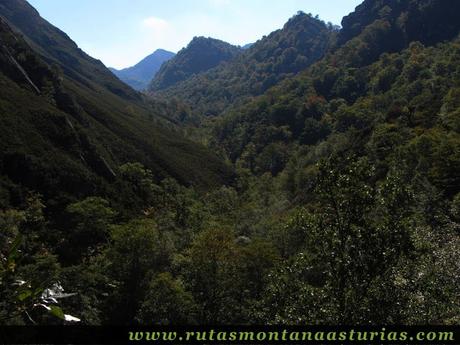 Ruta de los Arrudos y Corteguerón: Bosques casinos