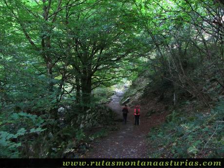 Ruta de los Arrudos y Corteguerón: Paseando entre vegetación