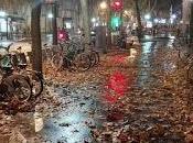 París, ecos llanto.