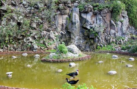 Jardín Botánico Viera y Clavijo, Islas Canarias