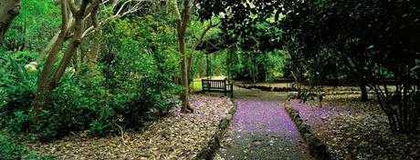 Jardín Botánico Viera y Clavijo, Islas Canarias