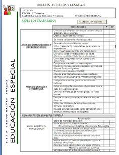 Informe_final_audición_lenguaje