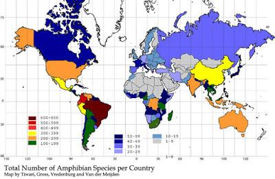 El farragoso mundo de las subespecies: las salamandras cantábricas