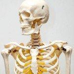 Dolor debajo de las costillas y dificultades respiratorias están a la vez fuertemente asociado con Costocondritis