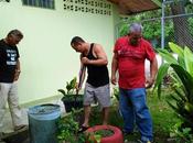 Cubanos albergados Costa Rica ayudan comunidad mientras resuelve situación