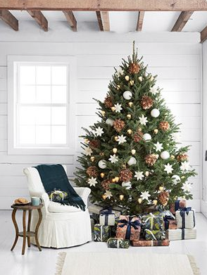 INSPIRACION NAVIDEÑA