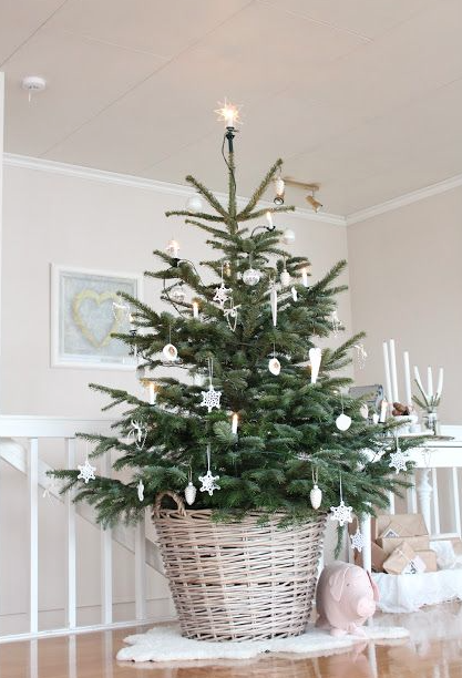 INSPIRACION NAVIDEÑA