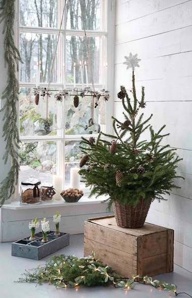 INSPIRACION NAVIDEÑA