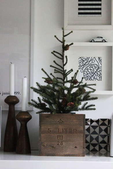 INSPIRACION NAVIDEÑA