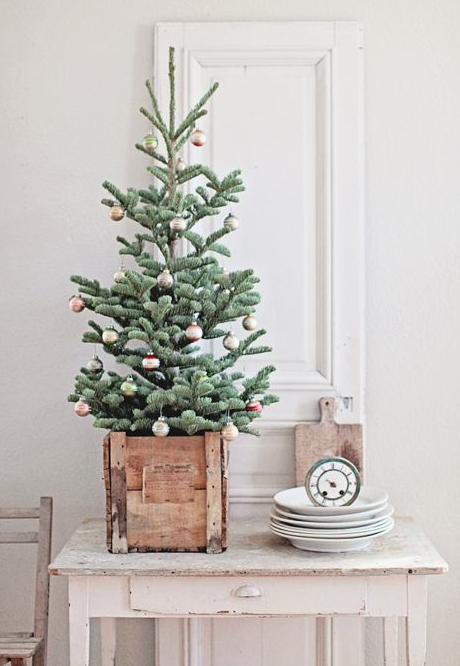 INSPIRACION NAVIDEÑA