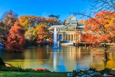 La postal de la semana: Madrid a todo color