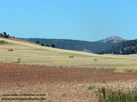 pico san asenjo y campos de castilla