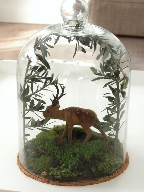 micromundo cervatillo micromundo cervatillo