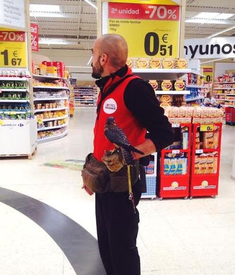 Cetrería de gran consumo