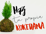 Cómo hacer kokedama