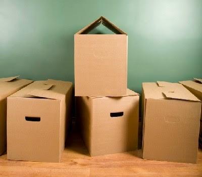 Sustentabilidad, orden y anti-acumulación. boxes