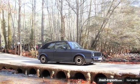 VAG74 2015. Aircooleds y Watercooleds de 1989 hacia atrás