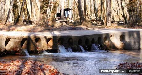 VAG74 2015. Aircooleds y Watercooleds de 1989 hacia atrás