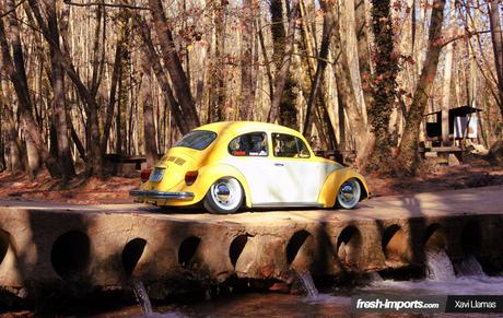 VAG74 2015. Aircooleds y Watercooleds de 1989 hacia atrás