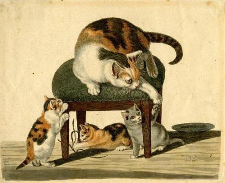 Gatos jugando en un taburete