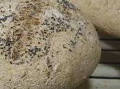 INTEGRAL ESPELTA LEVADURA (especial anticandidiasis)