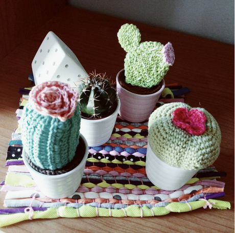 Mini cactus 3 (con patrón)