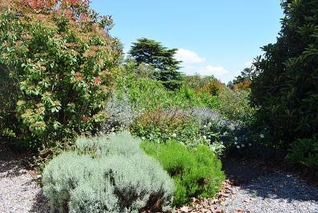 Primavera en La Cumbre