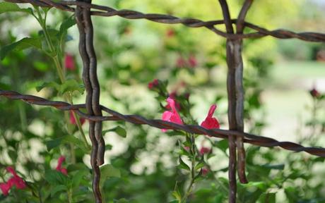 Primavera en La Cumbre