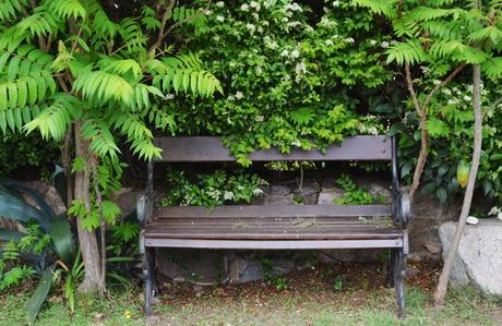 Primavera en La Cumbre