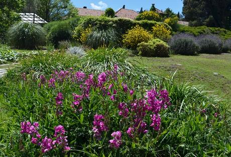 Primavera en La Cumbre
