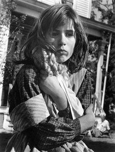 A la lejana distancia de 55 dB