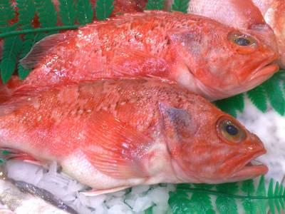 ALBONDIGAS DE PESCADO Y GAMBAS
