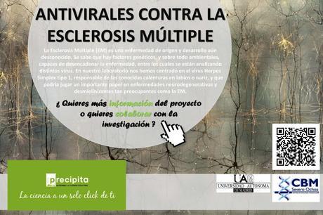 La neurociencia social y los niveles integrativos