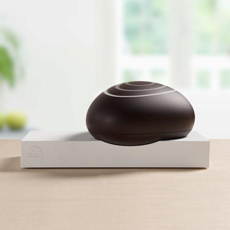 El Dojo es un puerto de seguridad que te permite controlar todo lo que entra y sale de tu red El Dojo es un puerto de seguridad que te permite controlar todo lo que entra y sale de tu red