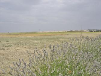 Campos de Castilla - Moratinos