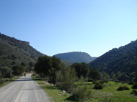 La Vías Verdes, recorridos obligatorios para cualquier cicloturistas; aquí algunos de los circuitos más interesantes La Vías Verdes, recorridos obligatorios para cualquier cicloturistas; aquí algunos de los circuitos más interesantes