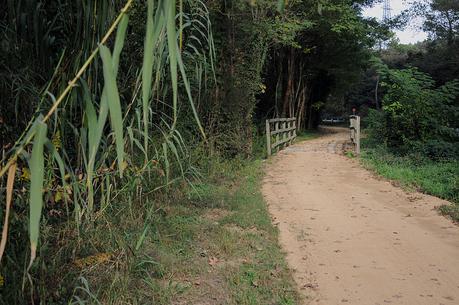 La Vías Verdes, recorridos obligatorios para cualquier cicloturistas; aquí algunos de los circuitos más interesantes La Vías Verdes, recorridos obligatorios para cualquier cicloturistas; aquí algunos de los circuitos más interesantes