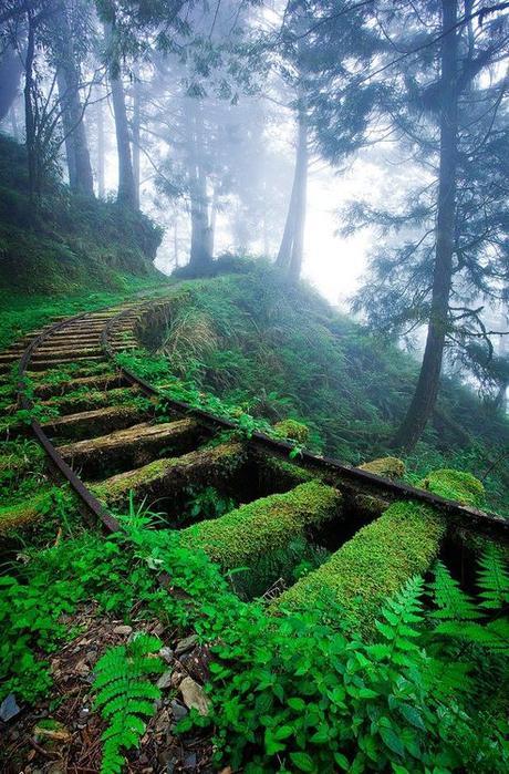 La Vías Verdes, recorridos obligatorios para cualquier cicloturistas; aquí algunos de los circuitos más interesantes La Vías Verdes, recorridos obligatorios para cualquier cicloturistas; aquí algunos de los circuitos más interesantes