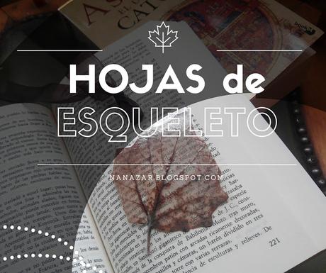 Hojas Esqueleto con Bicarbonato sódico