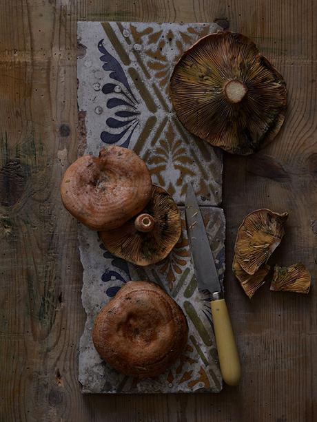 ESTOFADO DE NISCALOS